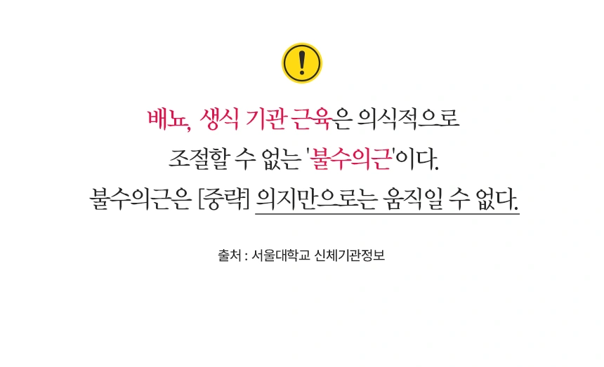 제품 상세 이미지 41